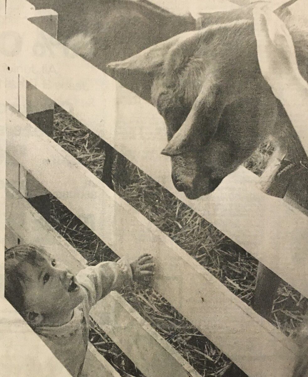 Hood River County Fair 1981